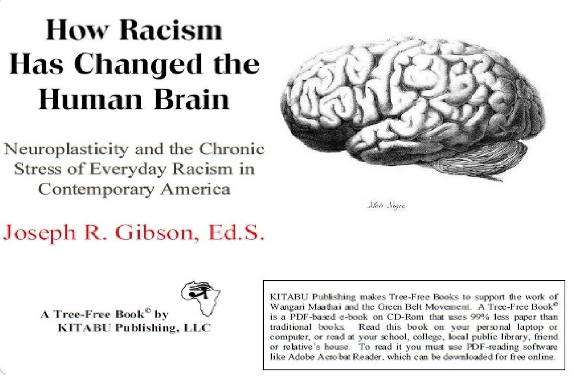 How Racism Has Changed the Human Brain: Neuroplasticity and the Chronic Stress of Everyday Racism in Contemporary America