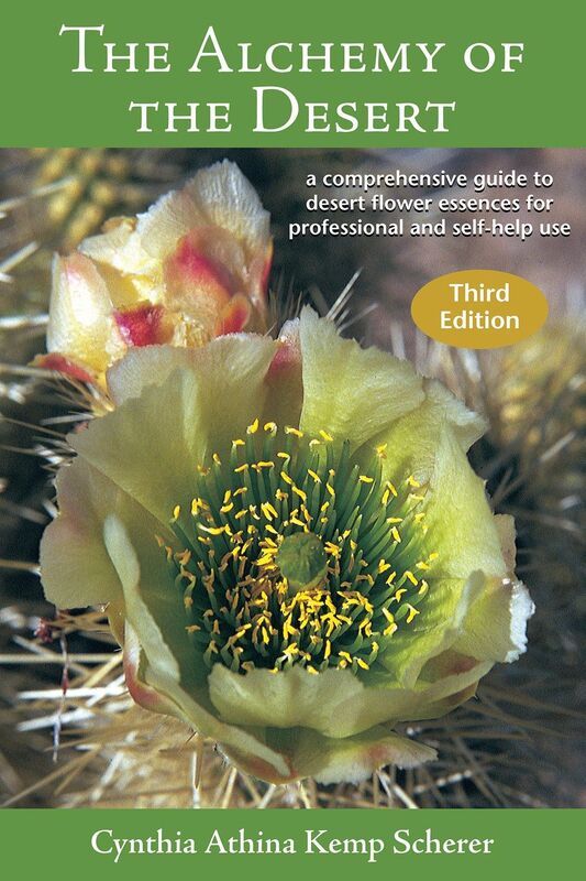 The Alchemy of the Desert - Third Edition