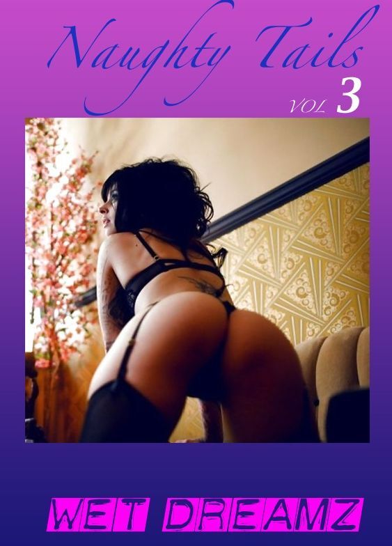 Naughty Tails V3 - 3 Erotic Short Sex Stories