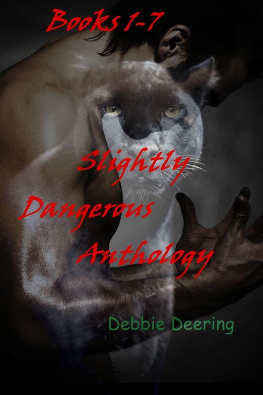 Slightly Dangerous Anthology