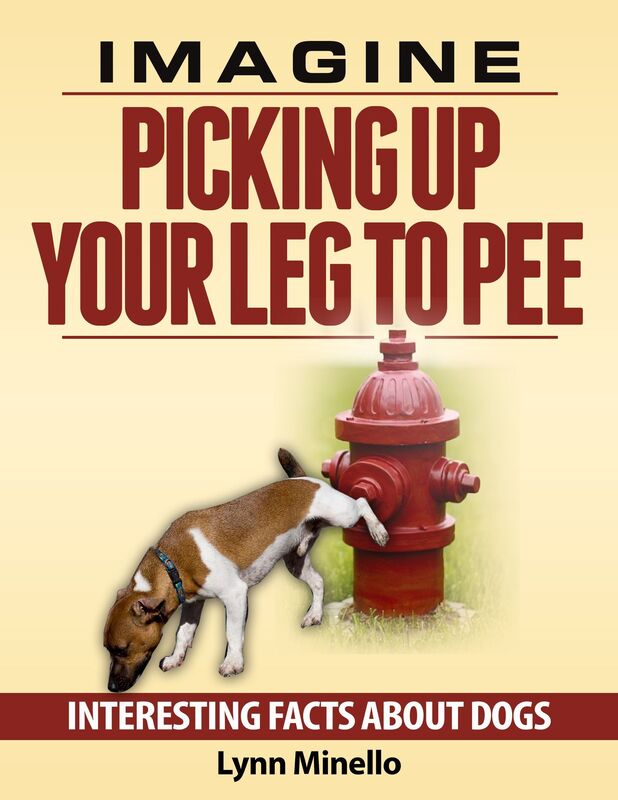 Imagine Picking Up Your Leg to Pee Interesting Facts about Dogs