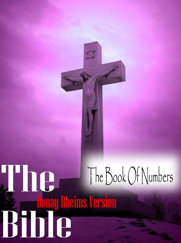 The Holy Bible Douay-Rheims Version,The Book Of Numbers