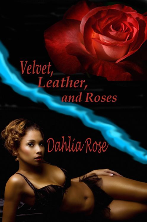 Velvet, Leather and Roses
