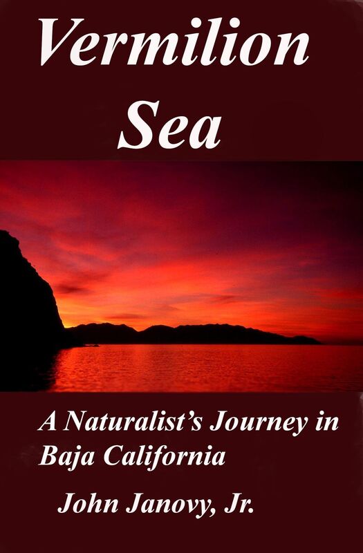 Vermilion Sea