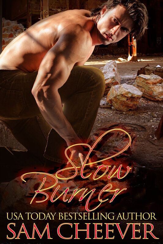 Slow Burner (Contemporary Romantic Suspense and Mystery)