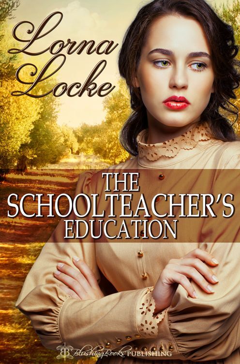 The Schoolteacher's Education