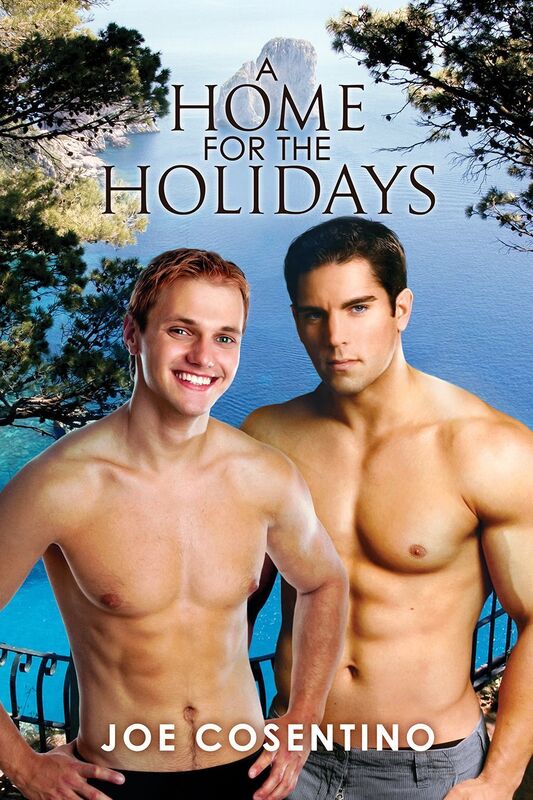 A Home for the Holidays