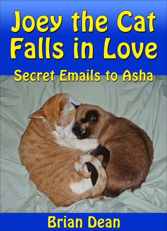 Joey The Cat Falls In Love: Secret Emails to Asha
