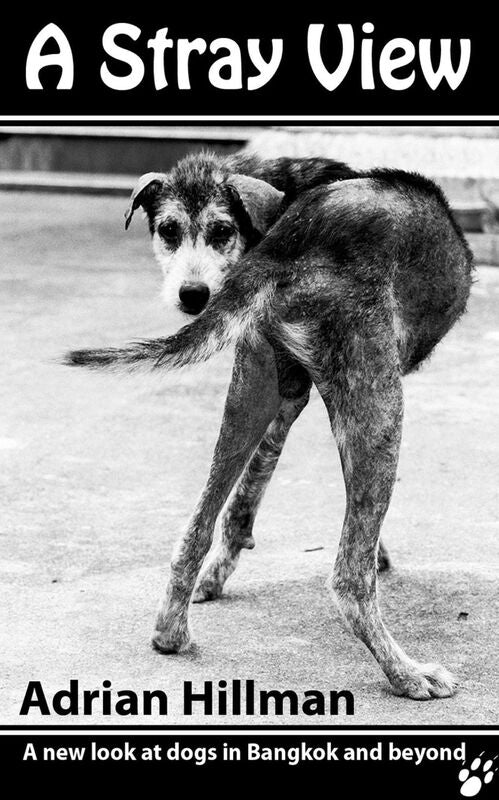 A Stray View - a new look at dogs in Bangkok and beyond