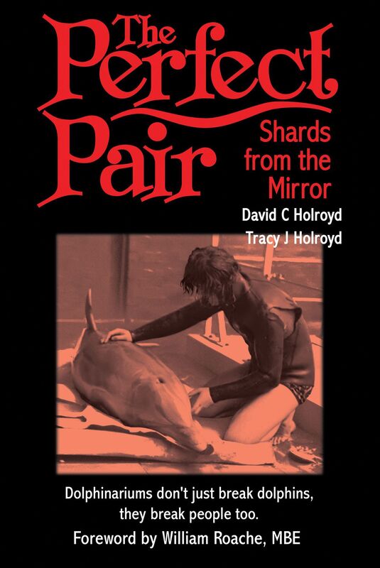 The Perfect Pair: Shards from the Mirror