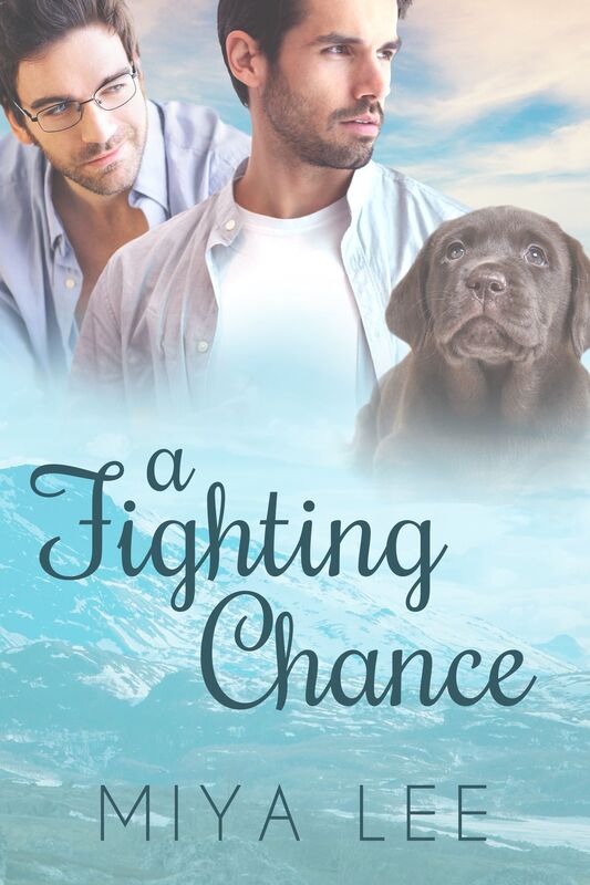 A Fighting Chance: Friends to Lovers Gay Romance