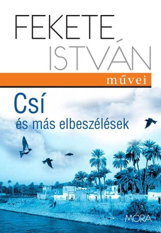 Csi es mas elbeszelesek