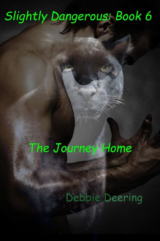 The Journey Home