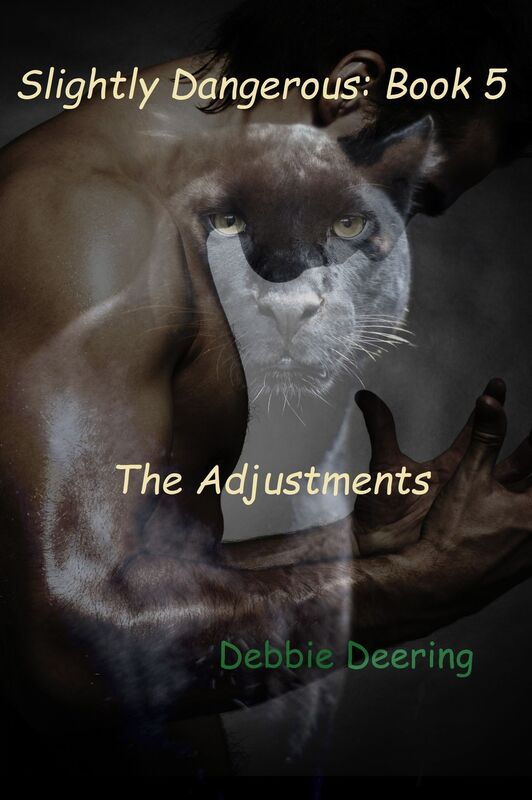 The Adjustments