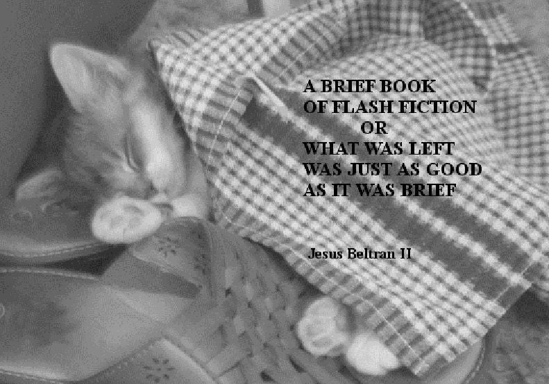 A BRIEF BOOK OF FLASH FICTION or WHAT WAS LEFT WAS JUST AS GOOD AS IT WAS BRIEF