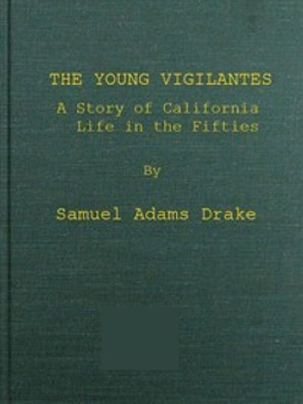 The Young Vigilantes (Illustrated)