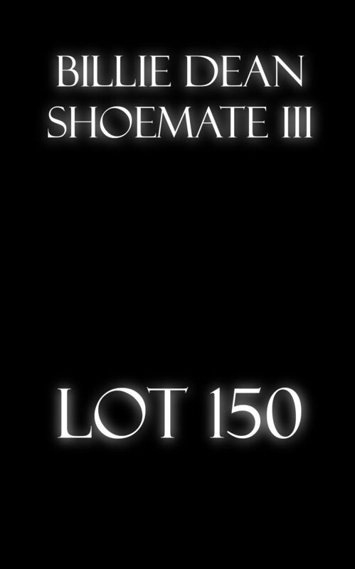 LOT 150