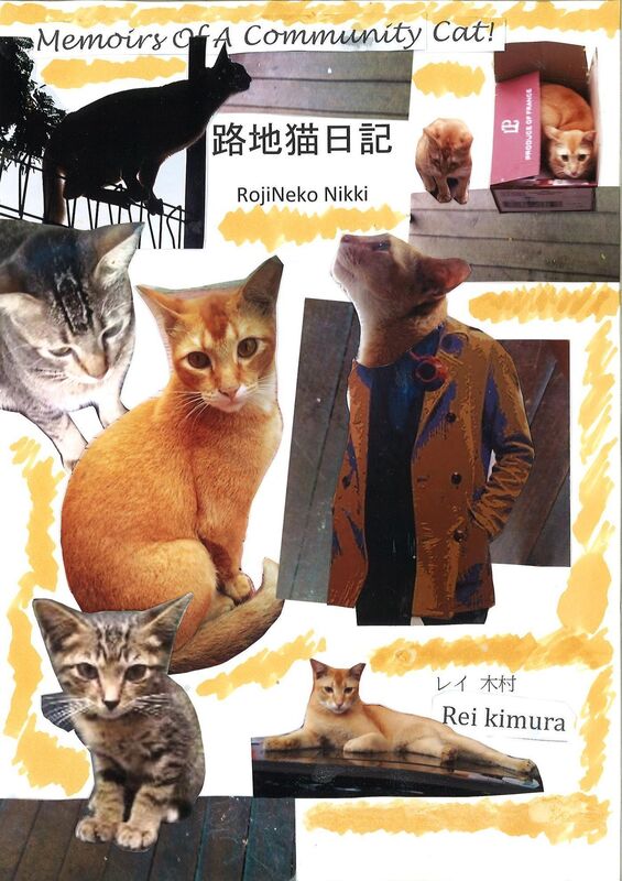 Memoirs of a Community Cat