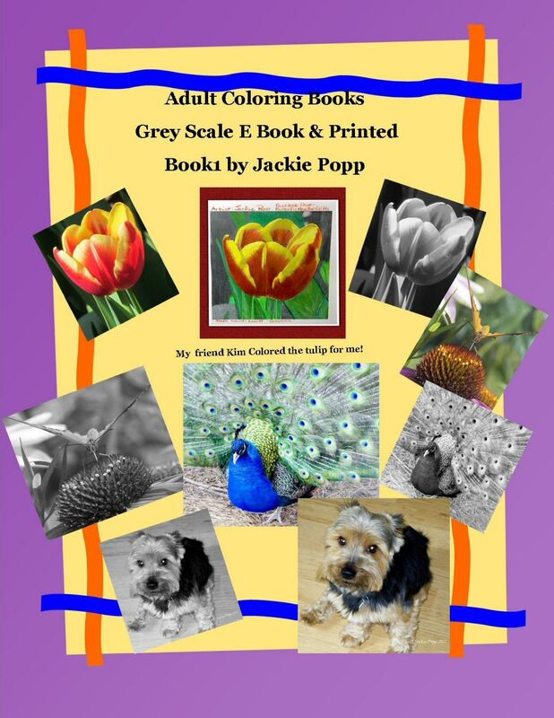 Adult Coloring Book