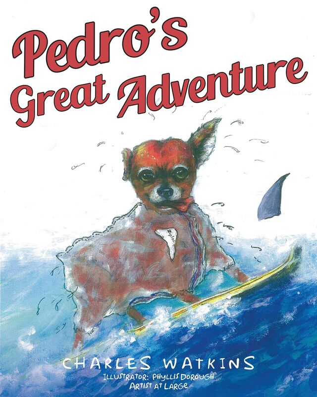 Pedro's Great Adventure
