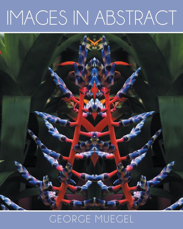 Images in Abstract