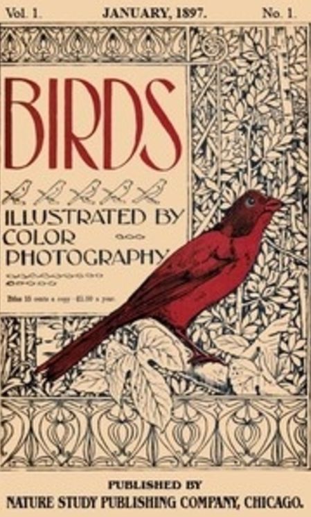 Birds Illustrated By Color Photography Vol. 1