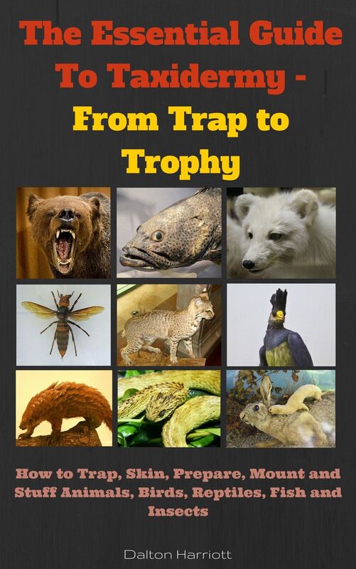 The Essential Guide to Taxidermy - From Trap to Trophy - How to Trap, Skin, Prepare, Mount and Stuff Animals, Birds, Reptiles, Fish and Insects