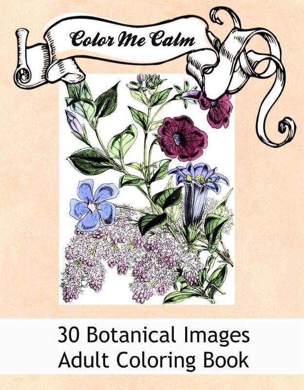 30 Botanical Floral Design Patterns Coloring Book for Adult
