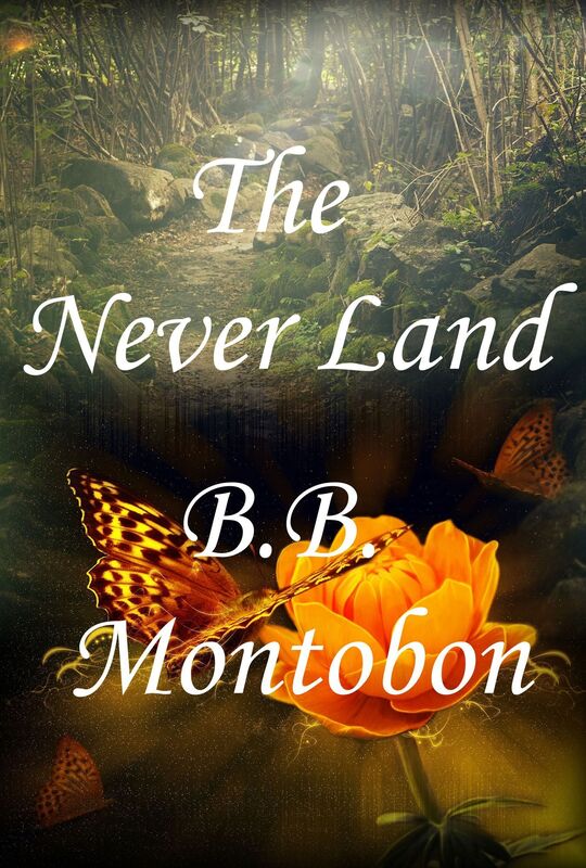 The Never Land
