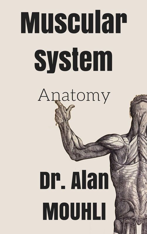 Muscular System: Anatomy (the human body muscles anatomy pictures by dr.Alan)