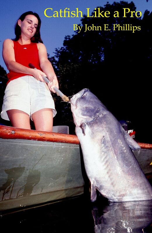 Catfish Like a Pro