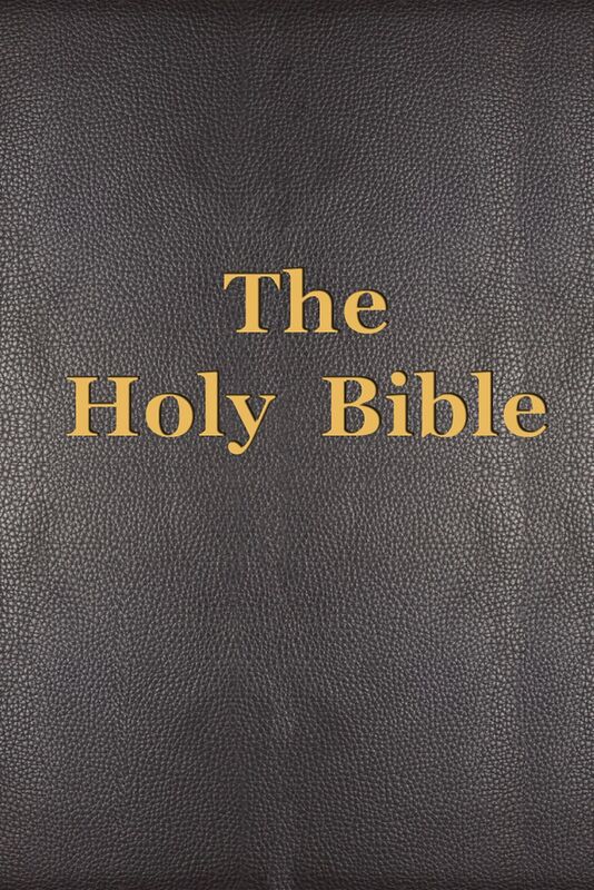 The Holy Bible. Modern English Translation