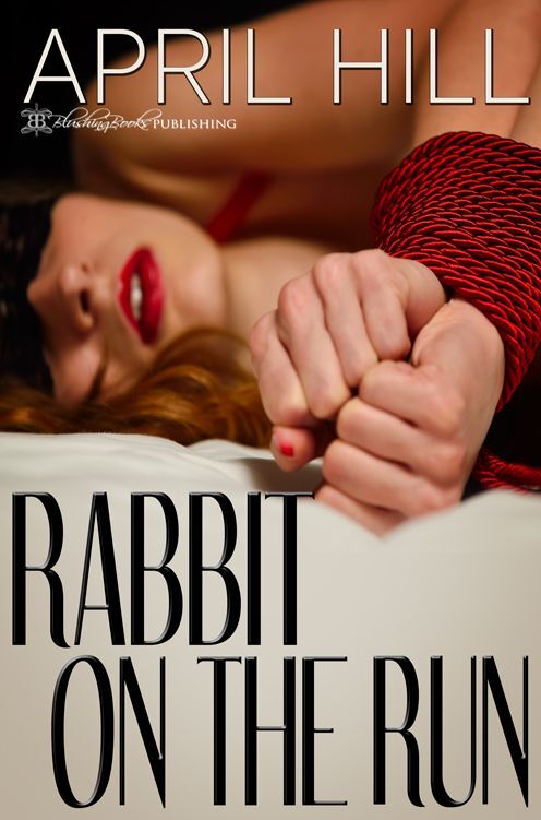 Rabbit on the Run