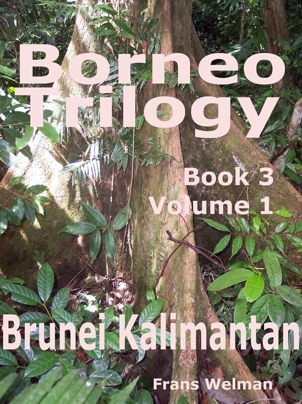 Borneo Trilogy Brunei: Volume 1