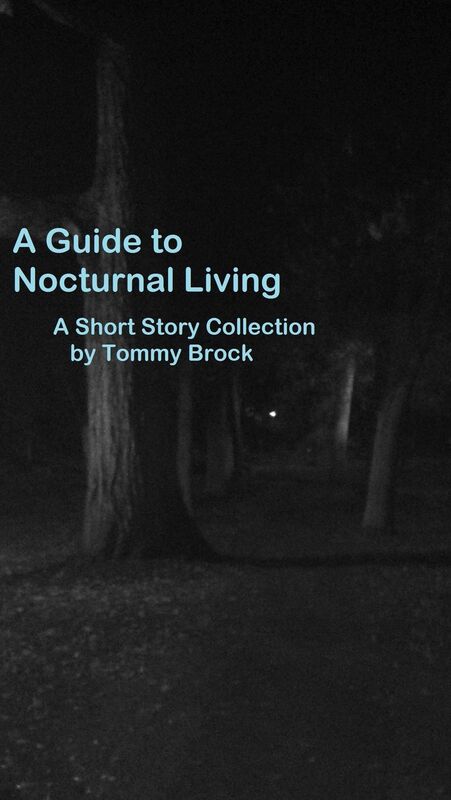 A Guide To Nocturnal Living