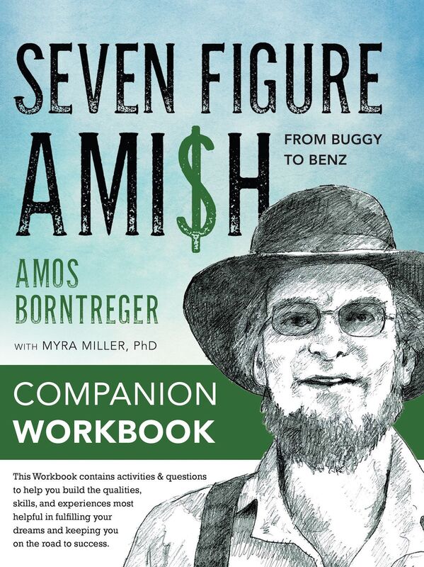 Seven Figure Ami$h: From Buggy to Benz - Companion Workbook