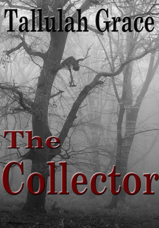 The Collector, An SSCD Crime Thriller