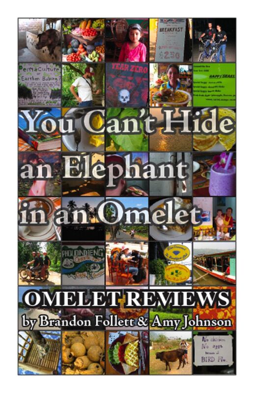 You Cant Hide an Elephant in an Omelet