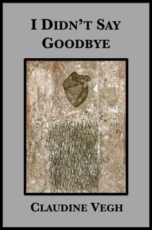 I Didn't Say Goodbye