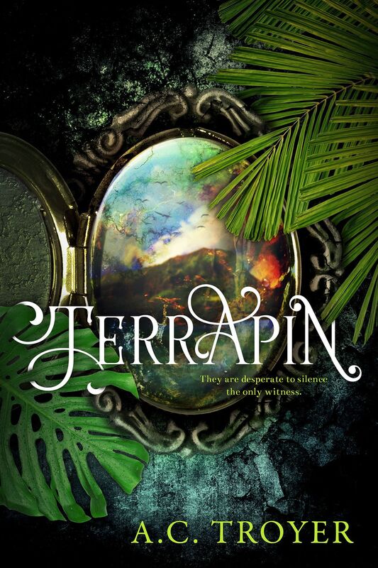 Terrapin Ac Troyer