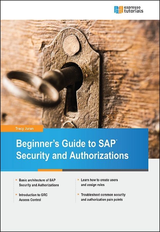 Beginner's Guide to SAP Security and Authorizations