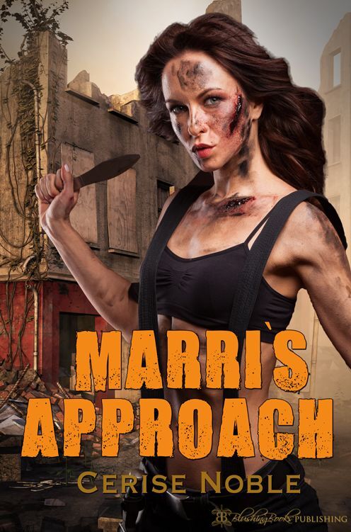 Marri's Approach: Brackish Bay
