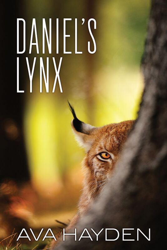 Daniel's Lynx