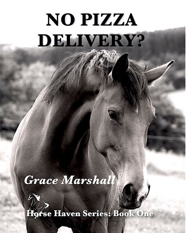No Pizza Delivery?