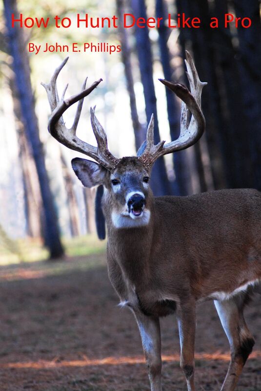 How to Hunt Deer Like a Pro