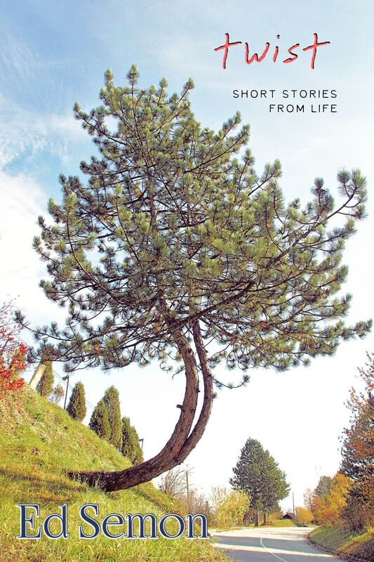 Twist: Short Stories from Life