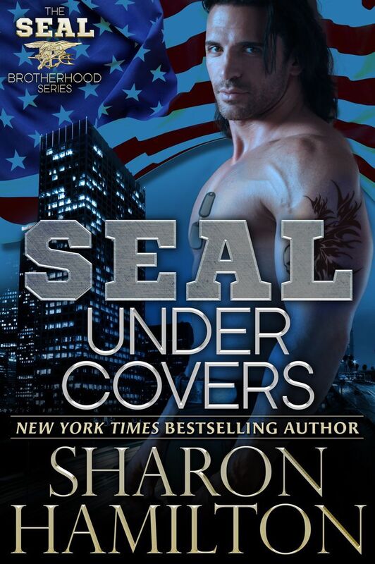SEAL under Covers (SEAL Brotherhood Series #3)