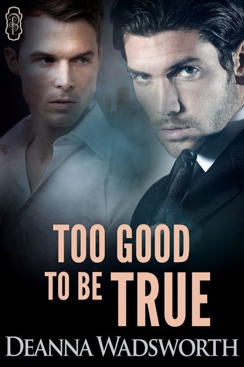 Too Good to be True (1Night Stand)