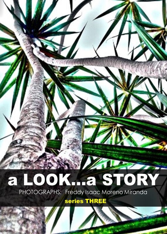 a Look... a Story (Serie Three)