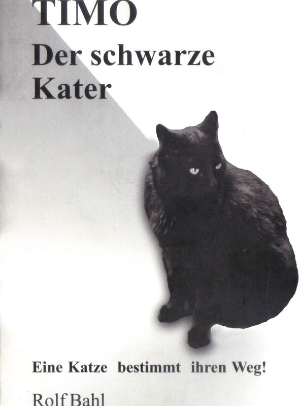 Timo der schwarze Kater